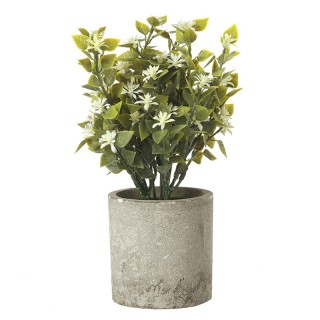 نبتة أقحوان أبيض صناعية في أصيص إسمنتي