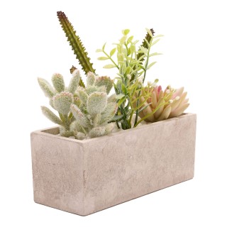 نباتات صناعية عصارية في وعاء عرض مستطيل الشكل