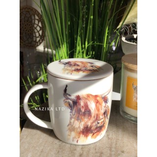  مق و كوستر ميج هوكين - بقرة هايلاند